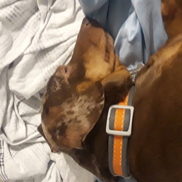 Meet your Posher, Trudy m - Picture 2 of 2